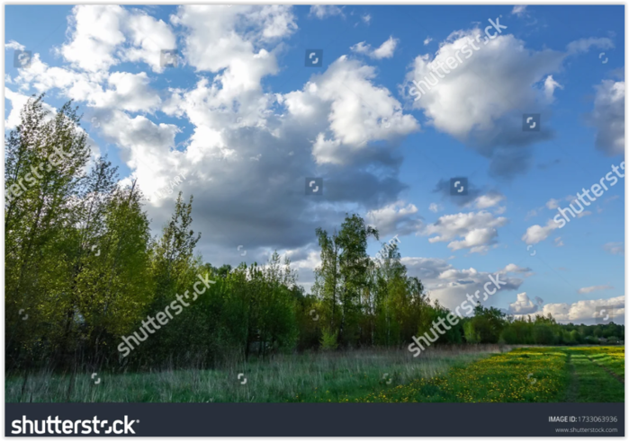 Фотографируя небо, природу и всякую ерунду, мужчина заработал 132 000 рублей!