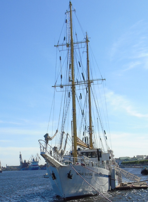 DSC00531 (513x700, 333Kb)