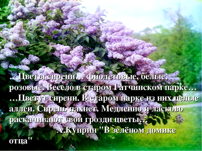 img3 (700x525, 336Kb)