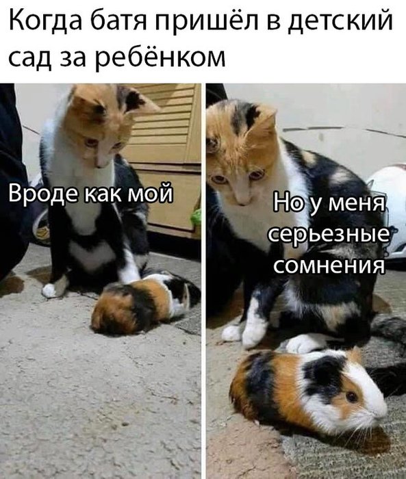   (593x700, 88Kb)