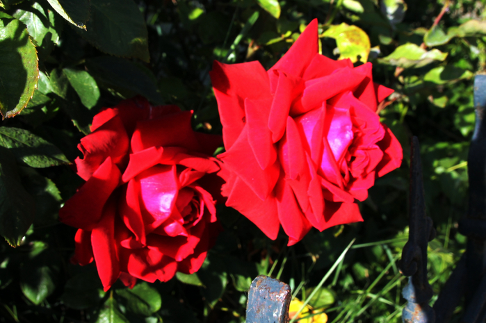 024 (700x465, 381Kb)