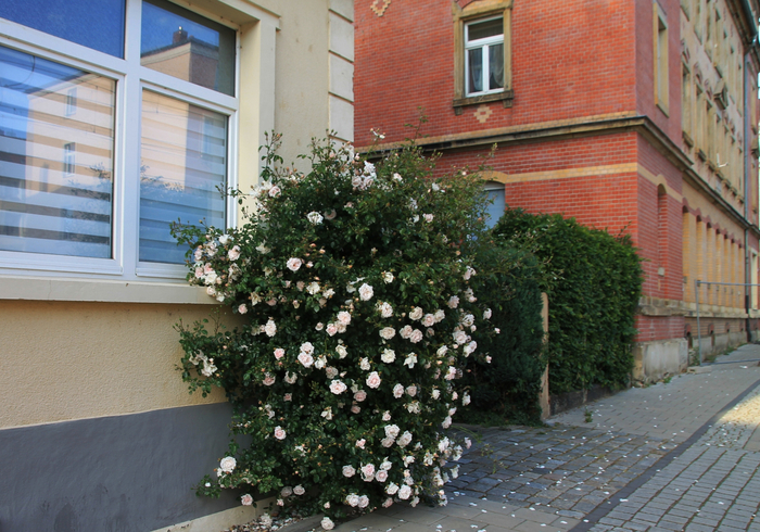 053 (700x490, 490Kb)