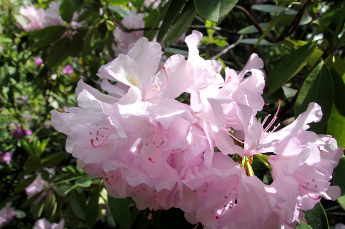 020 (700x465, 394Kb)