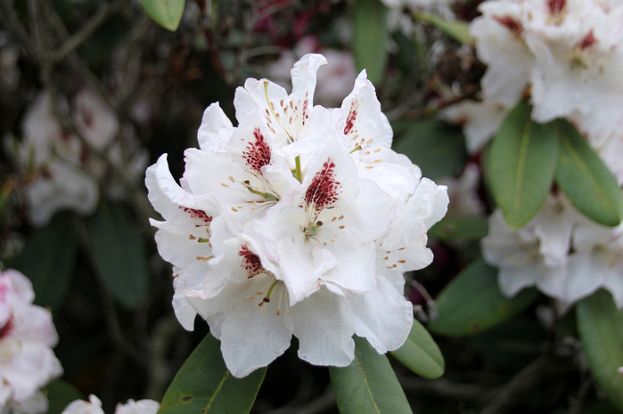 075 (700x465, 321Kb)