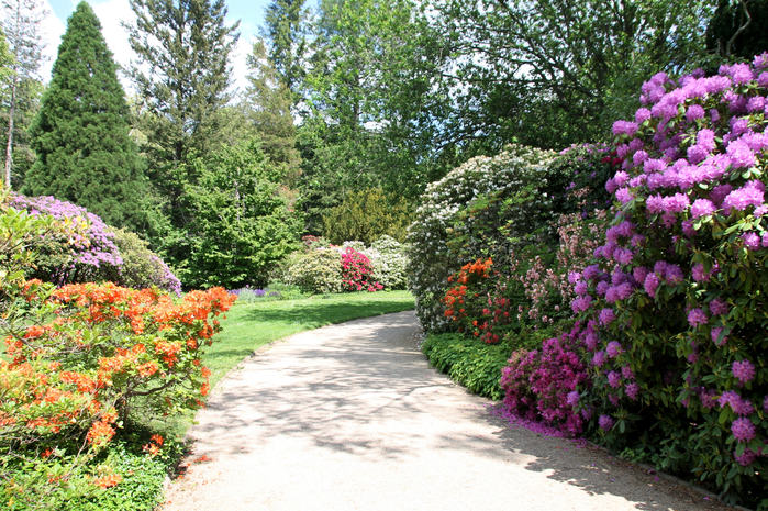 099 (700x465, 617Kb)