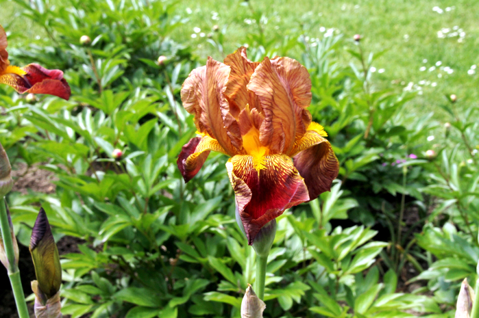 160 (700x465, 466Kb)