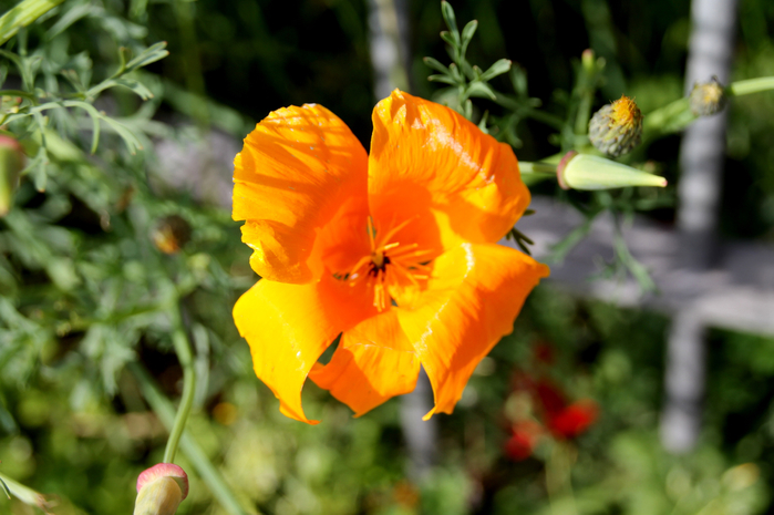 181 (700x465, 342Kb)