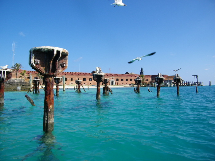 Fort Jefferson dry tortugas diving2 (700x525, 106Kb)