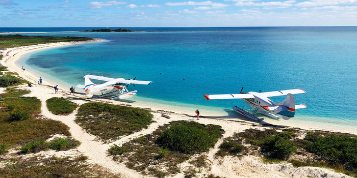 tortugas-featured-2400x1200 (700x350, 81Kb)