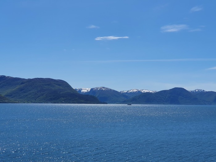 20200529_140125 (700x525, 68Kb)