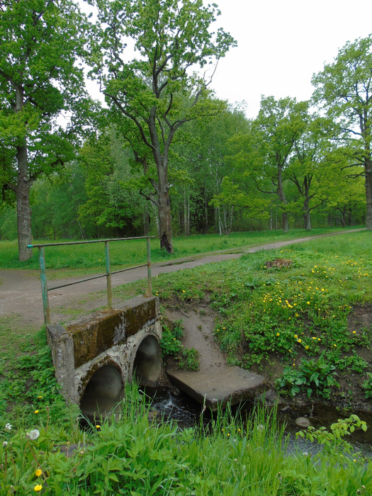 DSC01017 (525x700, 603Kb)