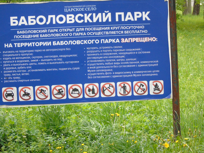 DSC01083 (700x525, 633Kb)