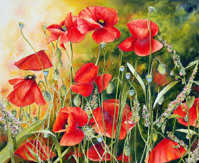 Hodge podre of poppies (700x572, 641Kb)