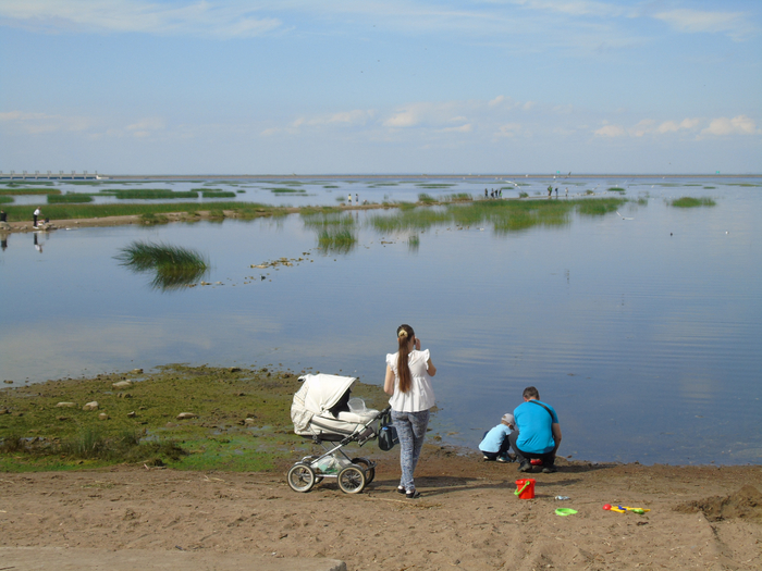 DSC01126 (700x525, 399Kb)