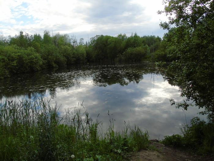 DSC01184 (700x525, 487Kb)