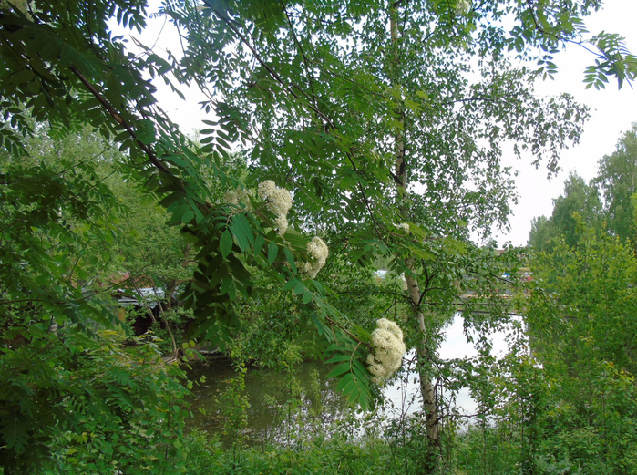 DSC01192 (700x521, 616Kb)