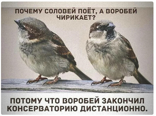 (470x450)/4743317_i_22 (614x457, 102Kb)