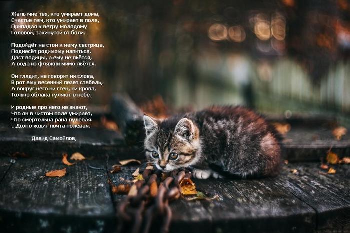 19295759_original (700x466, 54Kb)