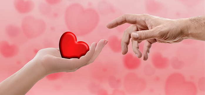 heart-valentine-s-day-hand-love-preview (700x325, 12Kb)