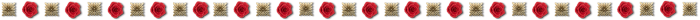 29 (700x20, 30Kb)