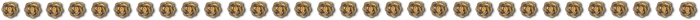 2 (700x20, 30Kb)