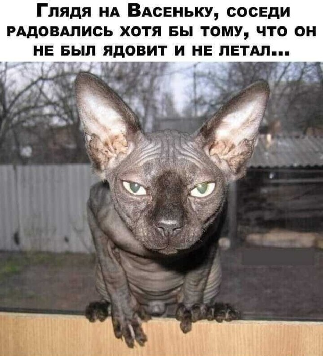 5SqT2XXEK60 (633x700, 296Kb)