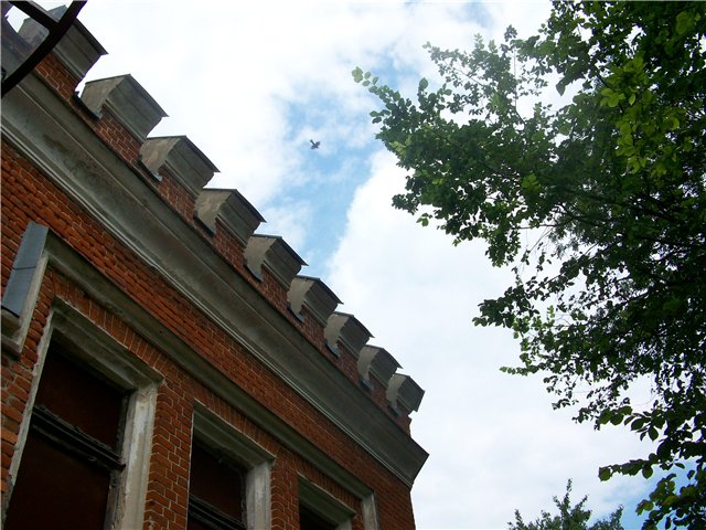 2384045_a8d5ec2c258b (640x480, 86Kb)