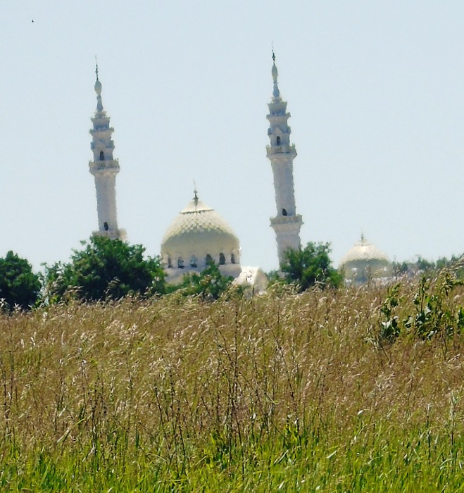 DSC02488 (659x700, 437Kb)