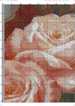   озовые розы (DMC)-002 (494x700, 563Kb)