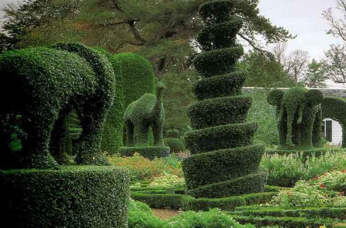 moretopiary (1000x761, 47Kb)