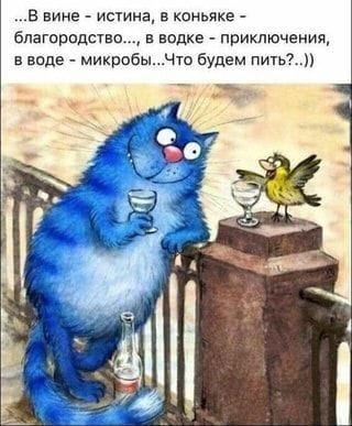 5672049_106811719_887518761749700_8255491185564416295_n (320x387, 28Kb)