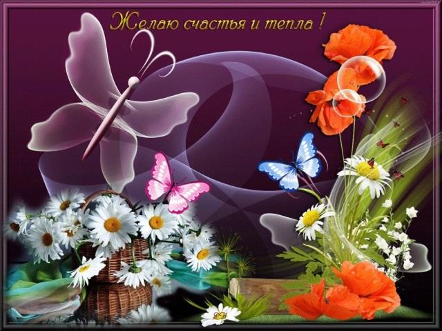 5642916_18558 (640x480, 55Kb)