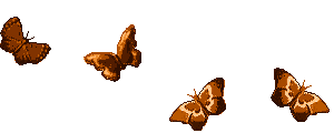 5158259_e4cb0d65ac2f (300x120, 35Kb)