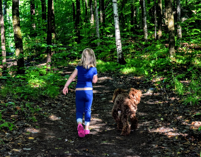 yn4 (700x547, 602Kb)