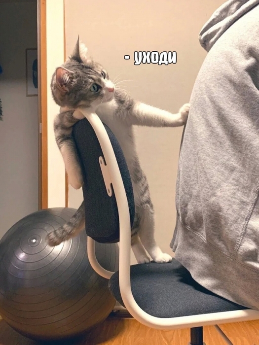 4743317_i_1_ (525x700, 239Kb)