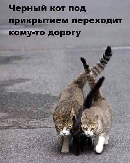 (470x450)/4743317_i_1 (450x563, 58Kb)