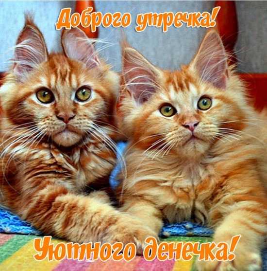  (550x557, 44Kb)