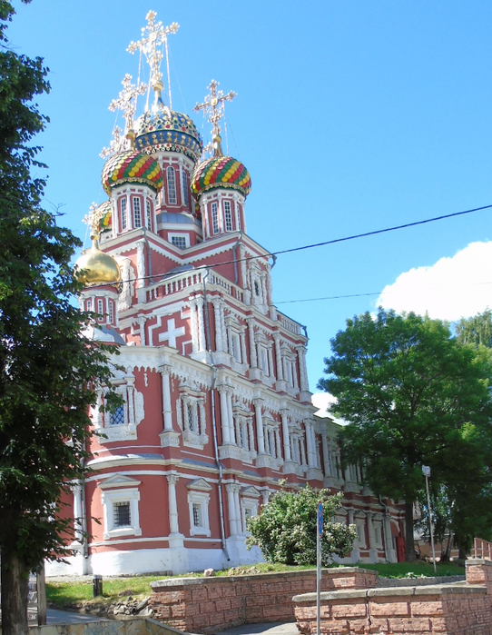 DSC03230 (542x700, 478Kb)