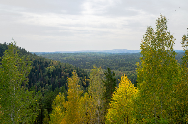 DSC04709 (640x425, 422Kb)