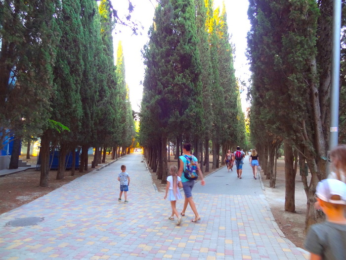 DSC05333 (700x525, 170Kb)