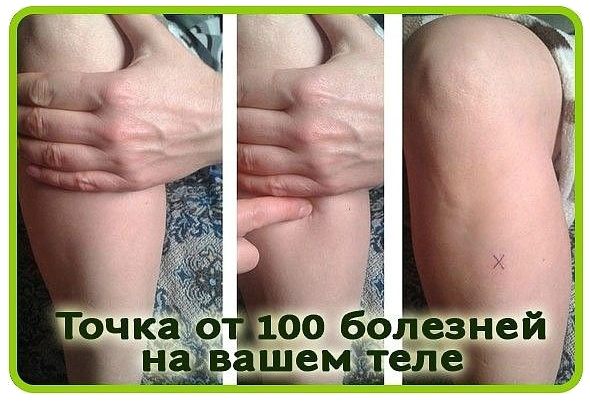 4432201_tochka__5177462_50042 (590x402, 529Kb)