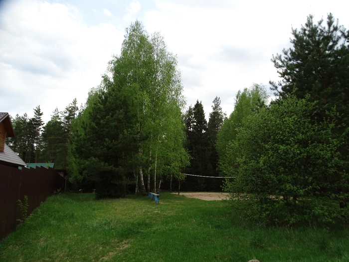 DSC00761 (700x525, 363Kb)