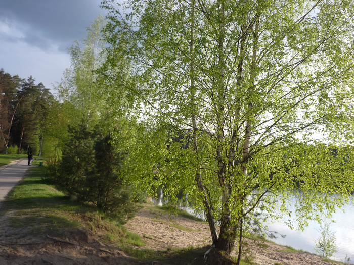 P1270736 (700x525, 626Kb)