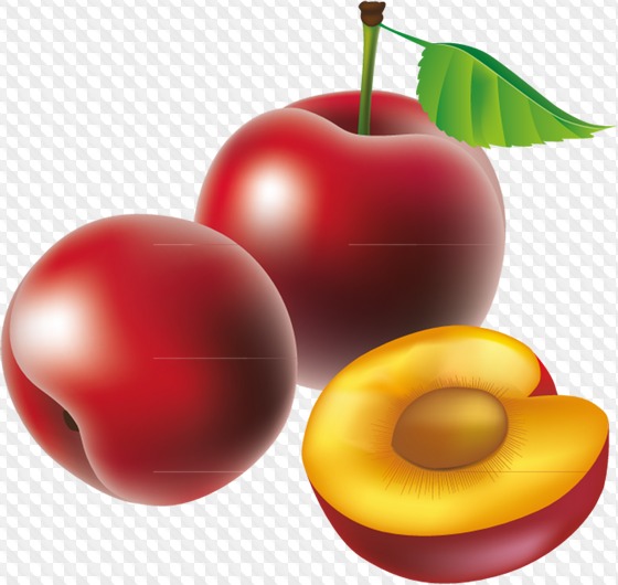 1553107095_berries-and-fruit-1 (560x530, 62Kb)