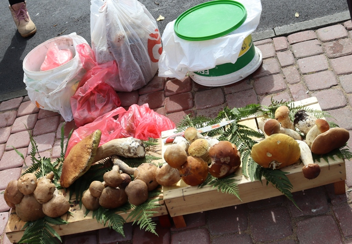 IMG_2304 (700x486, 441Kb)