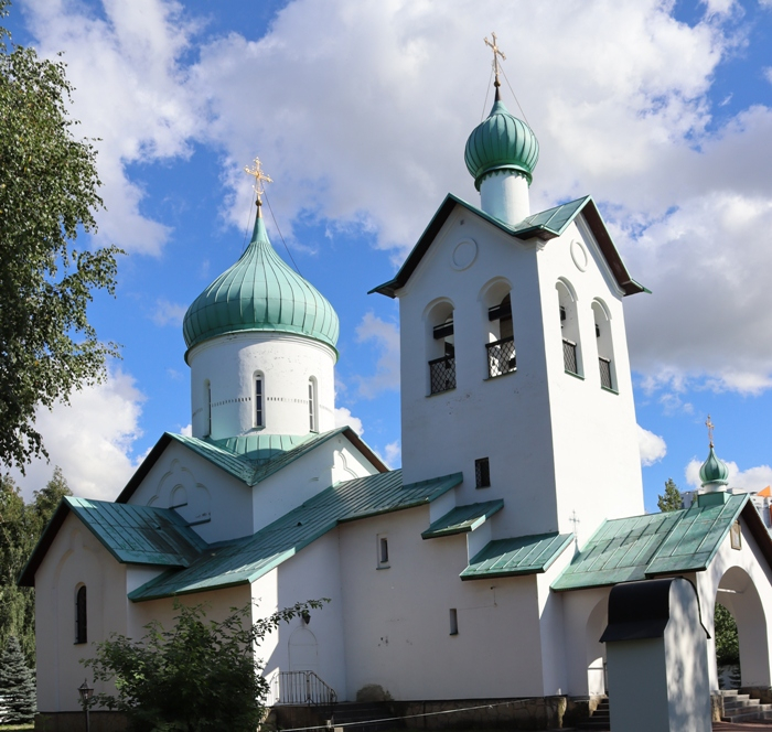 IMG_2540 (700x664, 442Kb)