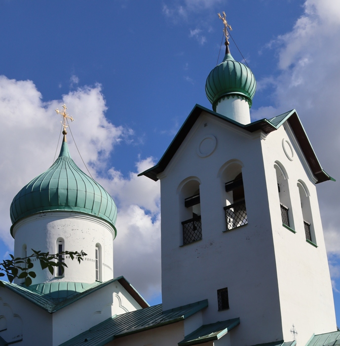 IMG_2549 (689x700, 374Kb)