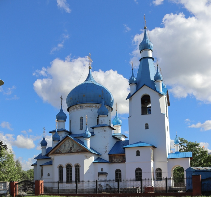 IMG_2578 (700x652, 410Kb)