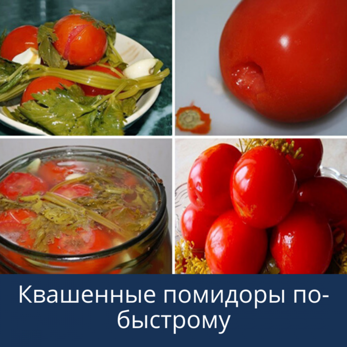 5101373_Kvashennie_pomidori_pobistromy (700x700, 605Kb)