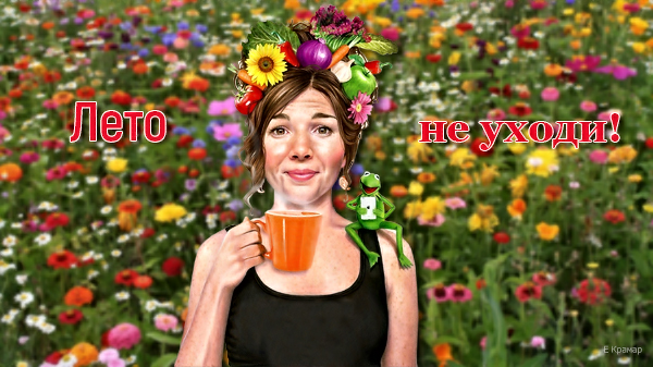   ! (600x337, 243Kb)